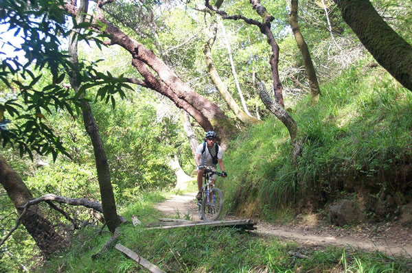 China Camp State Park Mountain Biking