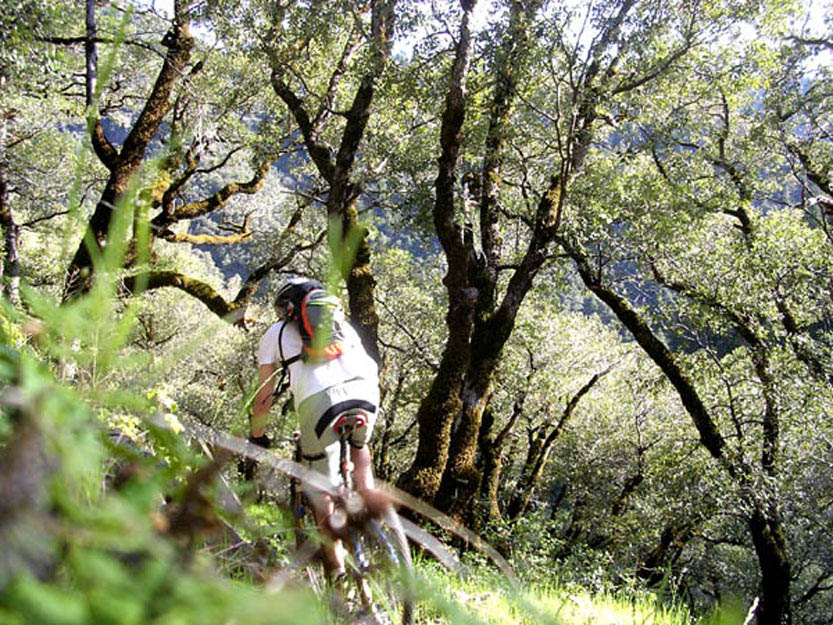 North Yuba River Mountain Biking